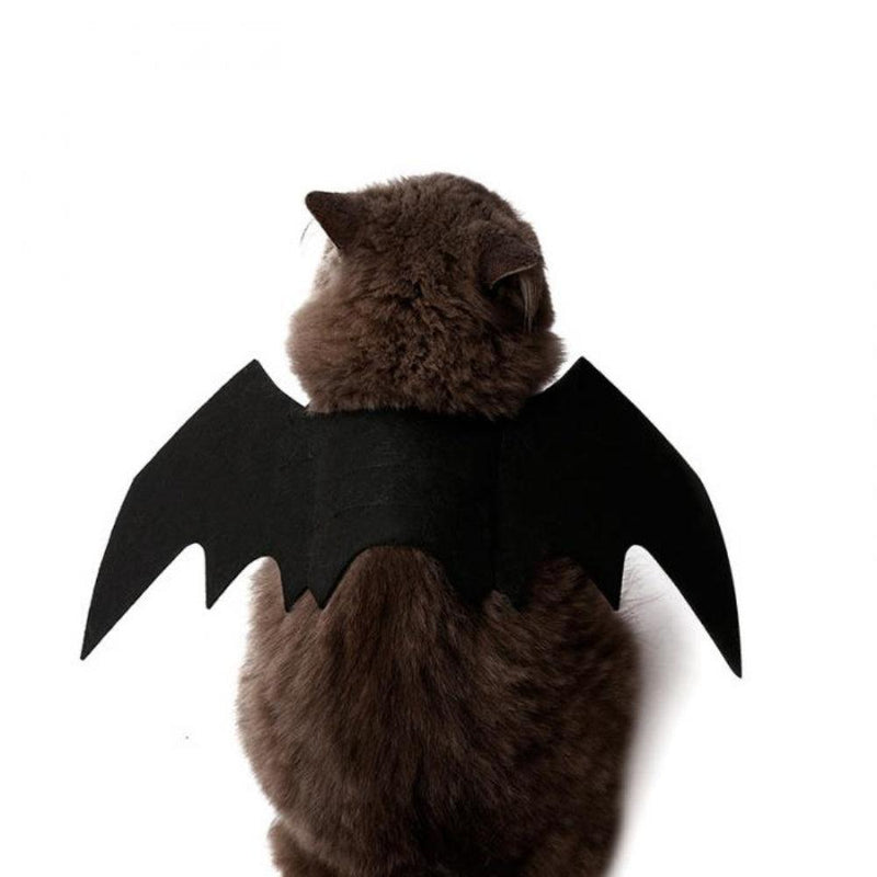 Gato morcego, cosplay, halloween. - iBonni Innovation Store