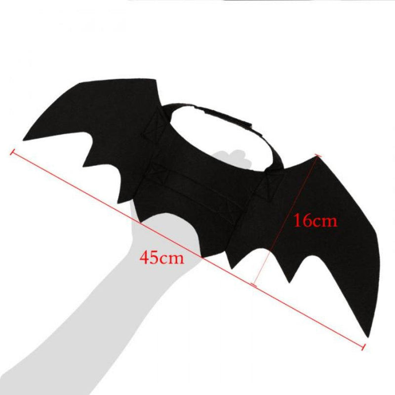 Gato morcego, cosplay, halloween. - iBonni Innovation Store