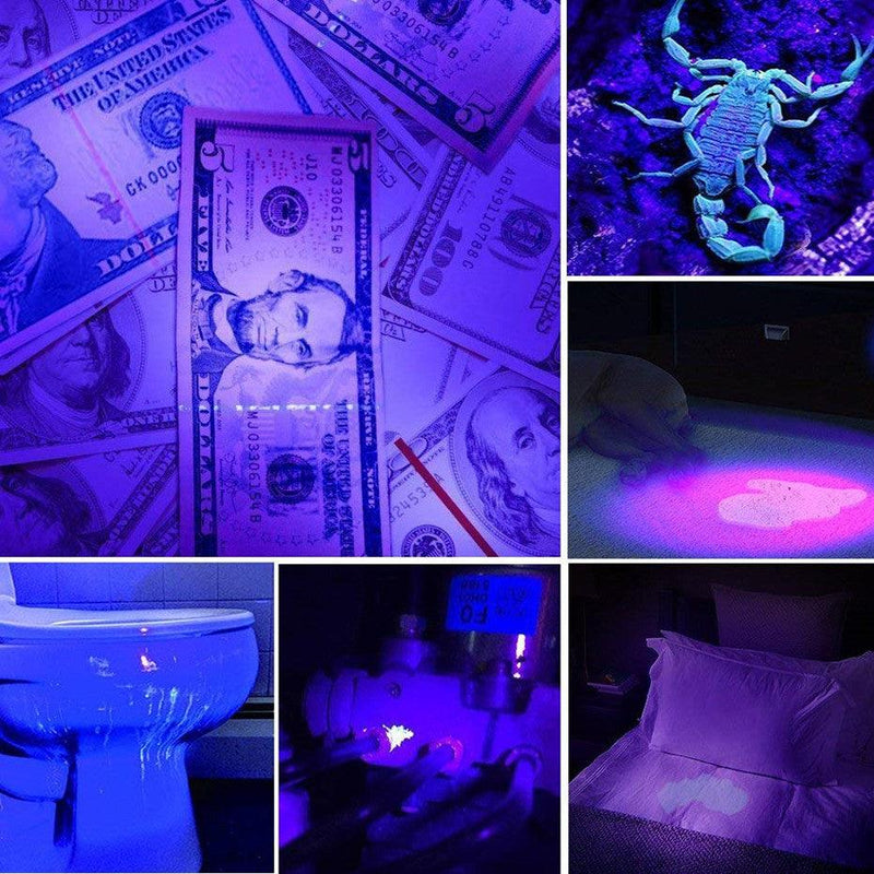 Led UV - lanterna ultravioleta com função detectar urina do seu PET - iBonni Innovation Store