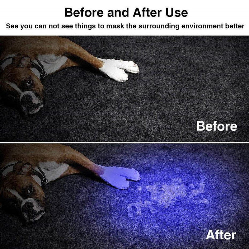 Led UV - lanterna ultravioleta com função detectar urina do seu PET - iBonni Innovation Store