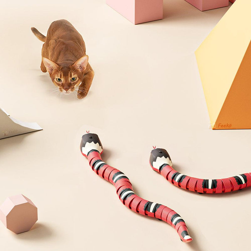 Cobra interativa, inteligente para gatos - iBonni Innovation Store