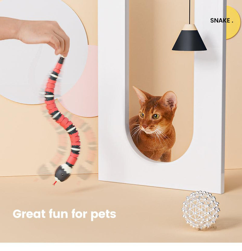 Cobra interativa, inteligente para gatos - iBonni Innovation Store